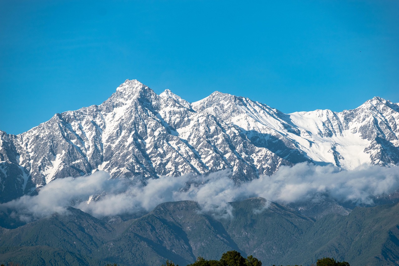 100% Safe Real Money Betting India vs Crickex: Which Is Better for Indians in 2027?